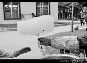 陈滔照片,镜头下的风采瞬间